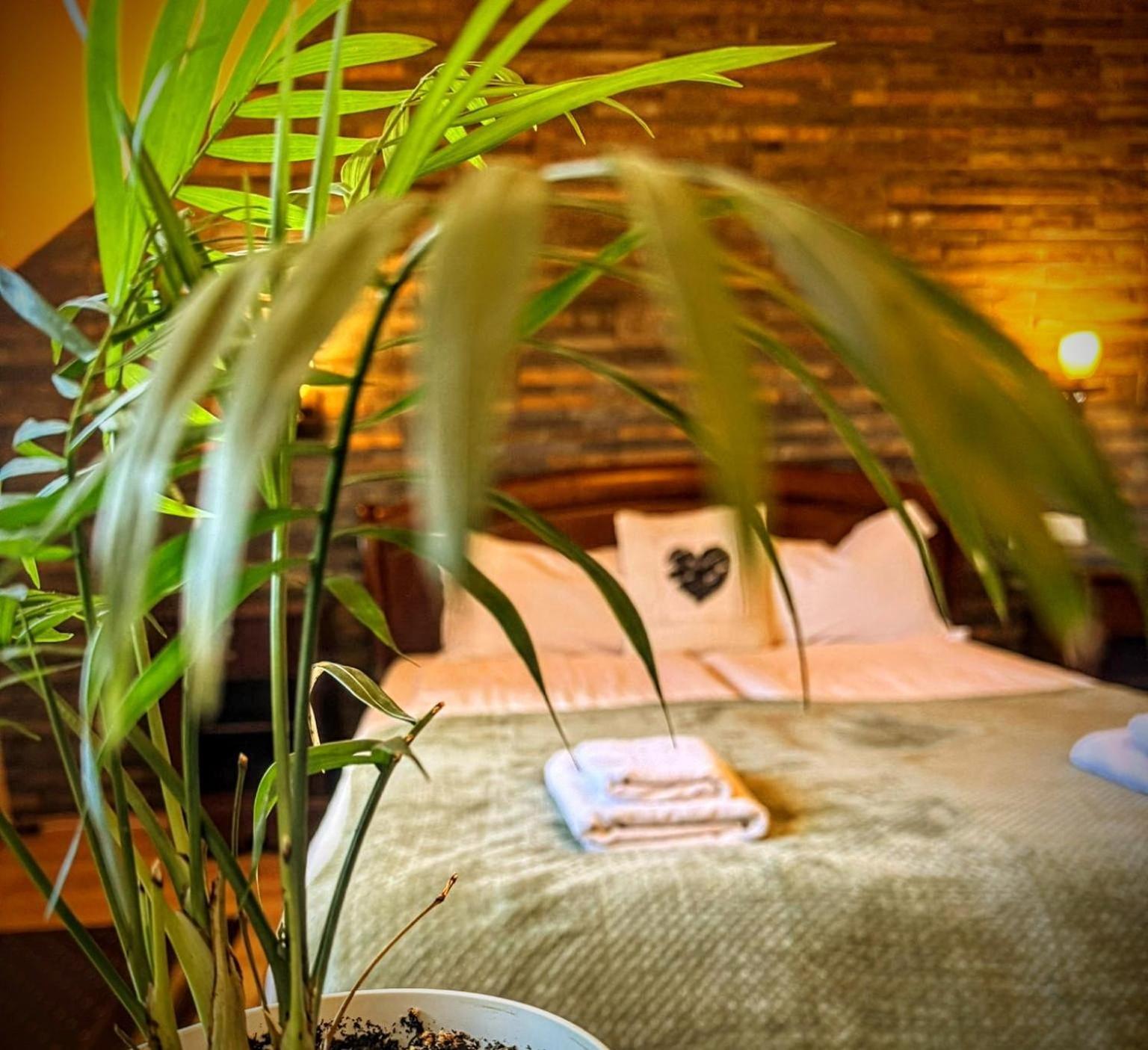 La Cuib Cristian Sibiu Hotel Eksteriør billede