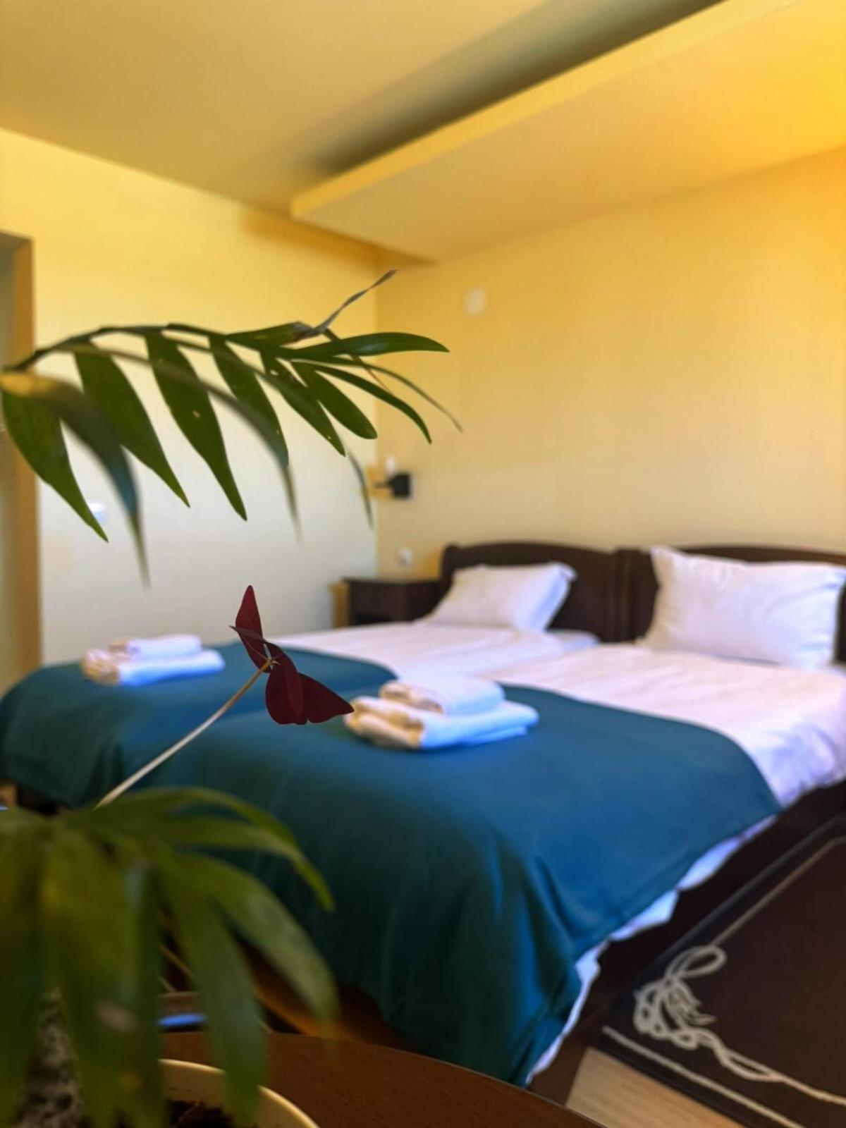 La Cuib Cristian Sibiu Hotel Eksteriør billede