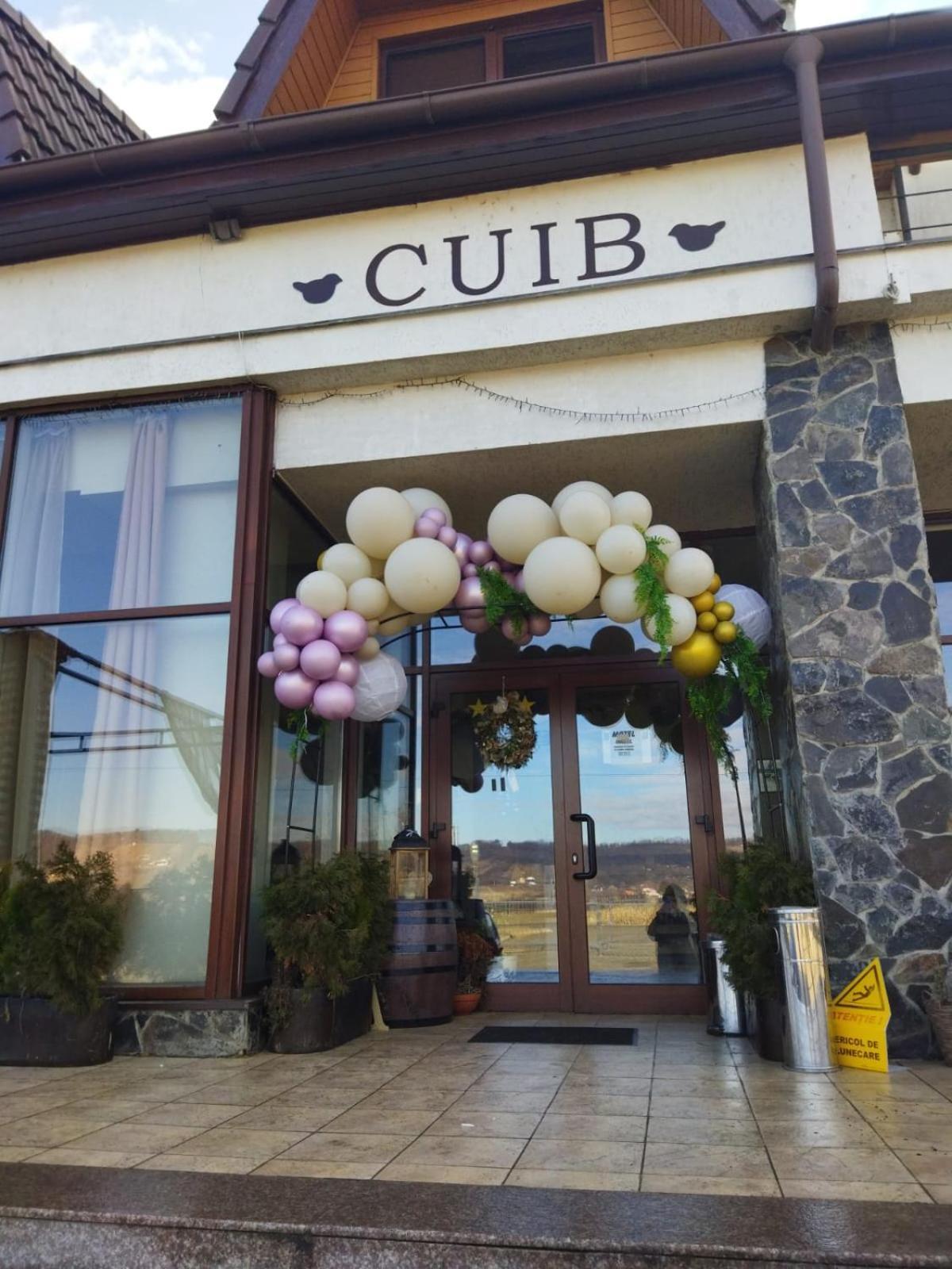 La Cuib Cristian Sibiu Hotel Værelse billede